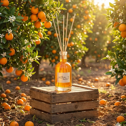 סורנטו- מפיץ ריח מקלות